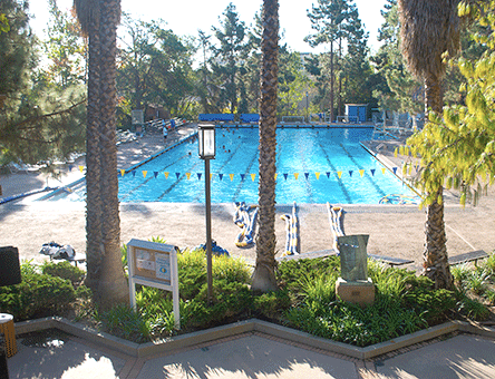 ELC Course Overview Adult Summer Campus Program